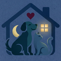 Pet Sitting h24